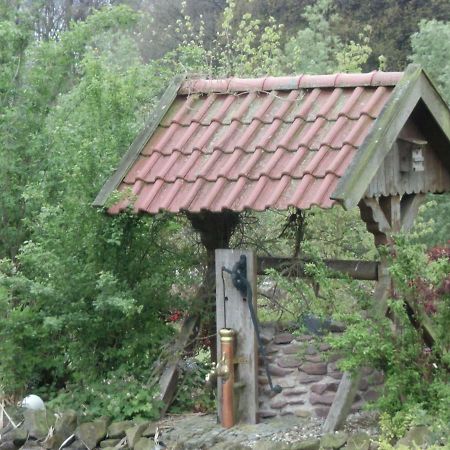 Fewo Emsland Эмсбюрен Экстерьер фото